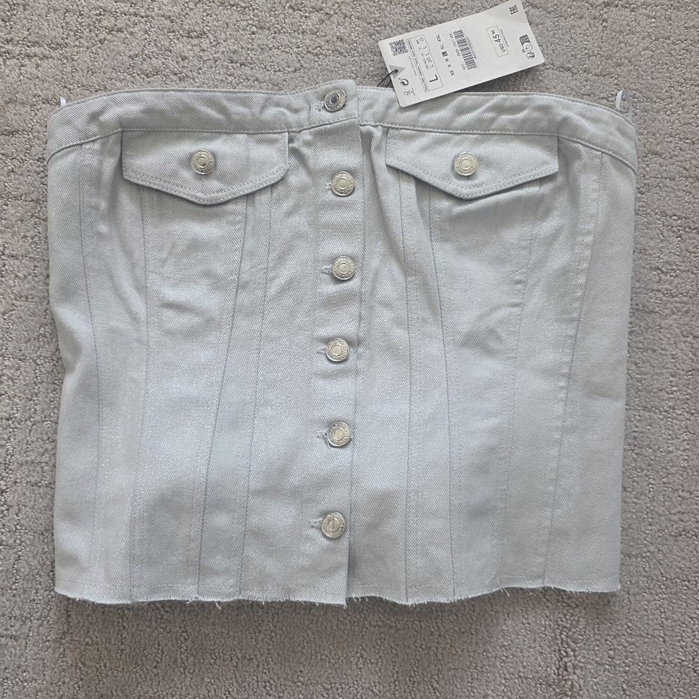 ZARA Silver tube cirest bustier top. NWT.